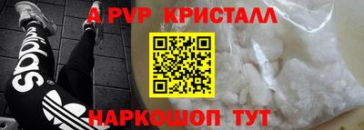 амф Гусев