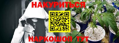 амф Гусев