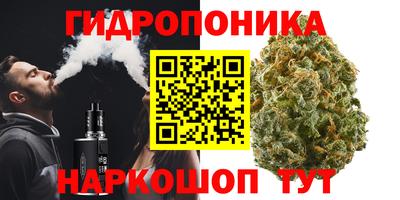 амф Гусев