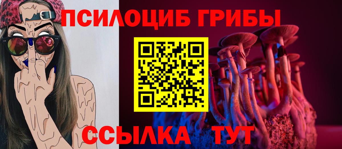 Меф МЯУ МЯУ кристаллы  Дивногорск  ГАШ  Продажа наркотиков  Бошки Шишки  КОКАИН  MDMA  A PVP СОЛЬ   ГАШИШ  Меф  Канабис  Вход с VPN 