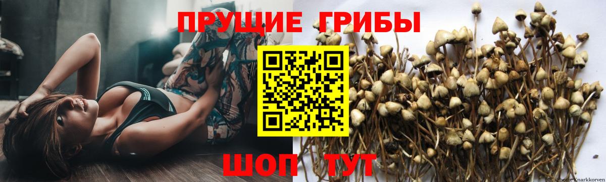 Галлюциногенные грибы мухоморы Дивногорск